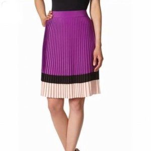 NWT The LIMITED Colorblocked Pleated A-Line Skirt